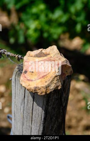 Probe von Boden, Feuerstein, Weinbergen der Pouilly-Fume-Appellation, Herstellung von trockenem Weißwein aus sauvignon Blanc Trauben, die auf verschiedenen Arten von wachsen Stockfoto