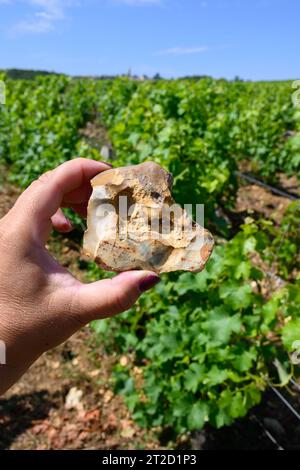 Probe von Boden, Feuerstein, Weinbergen der Pouilly-Fume-Appellation, Herstellung von trockenem Weißwein aus sauvignon Blanc Trauben, die auf verschiedenen Arten von wachsen Stockfoto