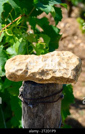 Probe von Boden, Feuerstein, Weinbergen der Pouilly-Fume-Appellation, Herstellung von trockenem Weißwein aus sauvignon Blanc Trauben, die auf verschiedenen Arten von wachsen Stockfoto