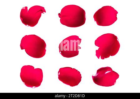 Set aus roten Rosenblättern auf weißem Hintergrund Stockfoto