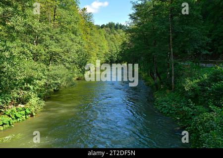 Der Fluss Dobra bei Kamacnik Kanjon im Komitat Primorje-Gorski Kotar im Nordwesten Kroatiens. August Stockfoto