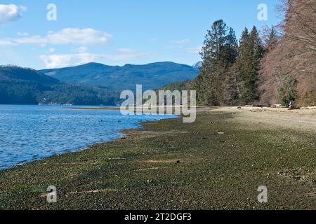 Der Strand im Porpoise Bay Provincial Park in der Nähe von Sechelt, British Columbia im Winter. Stockfoto