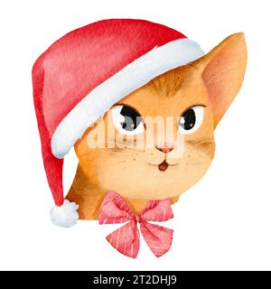 Neujahrsgnome - eine süße Abessinierkatze. Elegantes Katzenporträt mit Weihnachtsmütze und Weihnachtsschleife. Festliche Stimmung. Perfekt für Karten und Einladungen Stockfoto