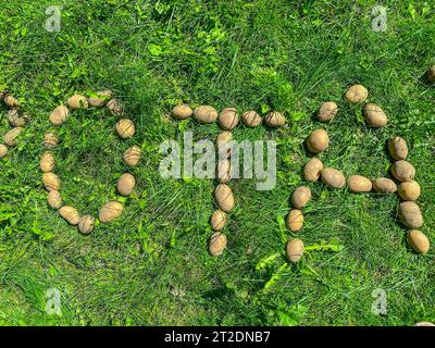 Kartoffeln auf grünem Gras. Große Kartoffeln sind mit den Buchstaben O, T, A. gesäumt. Briefe aus Gemüse. Vegane Produkte. Kartoffelbuchstaben. Stockfoto