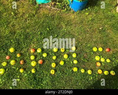 Äpfel unterschiedlicher Farben liegen in Form eines Wortes. Die Frucht gab das Wort Apfel aus. apple-Schriftzug, kreative Schriftzeichen. apple Signatur. Äpfel sind Stockfoto