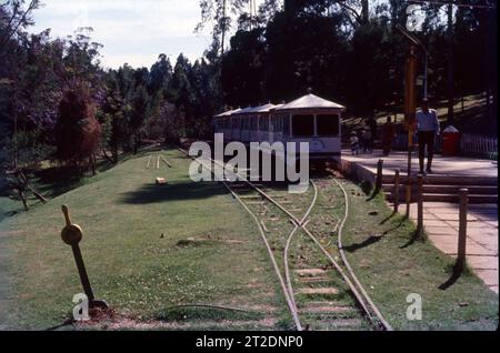 Joy Ride in Toy Train, Indien. Stockfoto