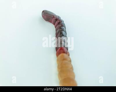 Gummiwürmer liegen auf weißem, mattem Hintergrund. Helle, mundtränende gelatinöse Würmer von bräunlich-gelber Farbe. Sperrige Würmer, süß und lecker. Stockfoto