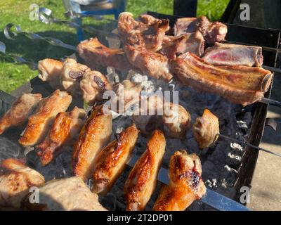 Köstlicher, schöner, gebratener Kebab aus Schweinefleisch, Hähnchenflügeln und Schweinerippchen auf dem Rauch, der auf dem Grill mit Spießen mit Kohlen gekocht wird. Grill in der Natur Stockfoto