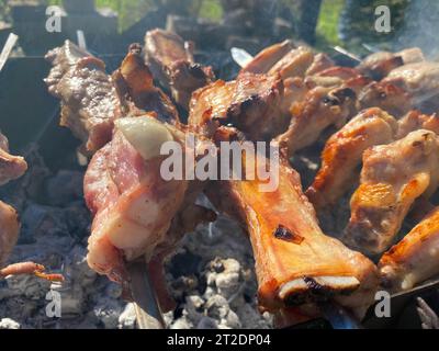 Marinierte schaschlik Vorbereitung auf einem Grill über Kohle. Schaschlik oder Shish Kebab populär in Osteuropa. (Shashlyk aufgespießt Fleisch) war Ursprung Stockfoto