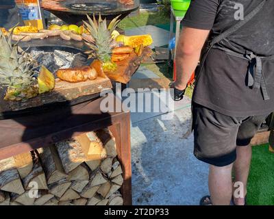 Man grillt Würstchen, Fleisch und Ananas auf einem Gitter über einem offenen Feuer mit Holz und Ananas im Freien bei einem Musikfestival. Stockfoto