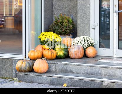 Große reife Kürbisse mit herbstlichen Chrysanthemen auf den Steinstufen der Veranda des Hauses. Stockfoto