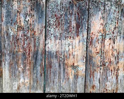 Textur einer schwarzen grauen alten Holzwand, ein Zaun mit Stücken alter Schälungen, abblätternde Farbe von vertikalen alten, umherziehenden Brettern verschiedener Größen mit c Stockfoto
