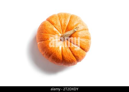 Kürbis isoliert auf weißem Hintergrund. Orangefarbener Bio-Kürbis, Designelement. Stockfoto