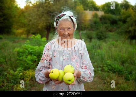 Ältere Frau hält Gartenäpfel im Sonnenlicht. Verschwommene Landschaft im Hintergrund. Alter, gesunde Ernährung, Nahrung, Ernährung und Menschen Konzept - c Stockfoto