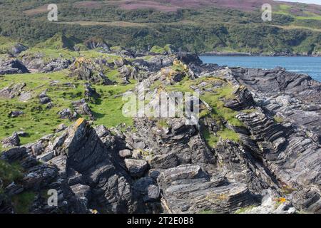 Spektakuläre Schluchten, Bögen und Seestapel prägen die Küste zwischen Kintra und Port Alsaig auf Islay. Stockfoto