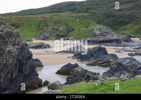 Spektakuläre Schluchten, Bögen und Seestapel prägen die Küste zwischen Kintra und Port Alsaig auf Islay. Stockfoto