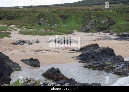 Spektakuläre Schluchten, Bögen und Seestapel prägen die Küste zwischen Kintra und Port Alsaig auf Islay. Stockfoto