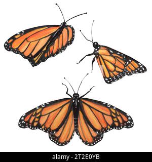 Handgezeichnete Aquarellillustration. Drei Monarch-Schmetterlinge für jedes Design Stockfoto
