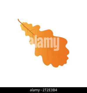 Herbst Eichenblatt isoliert auf weißem Hintergrund.flacher Design-Stil.Vektor-Illustration Stock Vektor