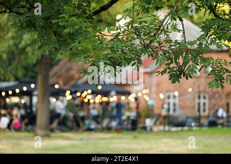 Hintergrundaktivitäten mit Schwerpunkt auf dem Baum im Vordergrund Stockfoto