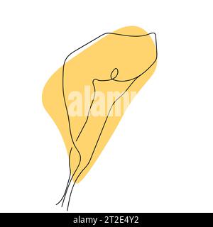 Calla-Lilienblüte. Linienzeichnung. Einfache Strichzeichnung Blume für Logo, Symbol, Design Stock Vektor