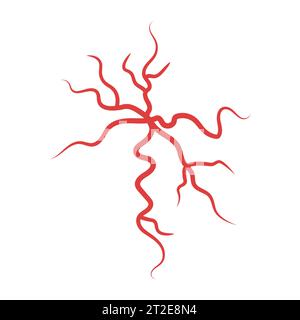 Die Anatomie der roten Spinnenvenen. Varikose und Veneninsuffizienz. Das Herz-Kreislauf-System des Menschen. Netzwerk von Blutgefäßen, Arterien oder Kapillaren. Stock Vektor