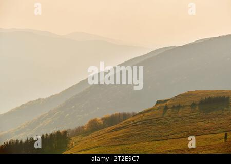 Die neblige Berglandschaft am Morgen fängt die natürliche Ruhe ein. Stockfoto