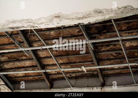 Deckenpaneele hatten ein großes Loch im Dach durch ein Regenwasserleck beschädigt. Die Decke wurde durch Wasser beschädigt. Die Decke brach zusammen Stockfoto