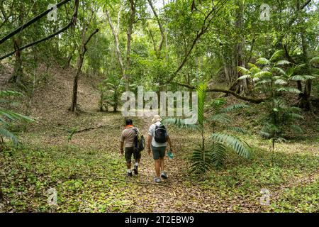 Ein Spaziergang mit Reiseleiter auf der Calzada Este oder dem East Causeway in den Maya-Ruinen im Yaxha-Nakun-Naranjo Nationalpark, Guatemala. Beachten Sie die nicht ausgehobenen Stockfoto