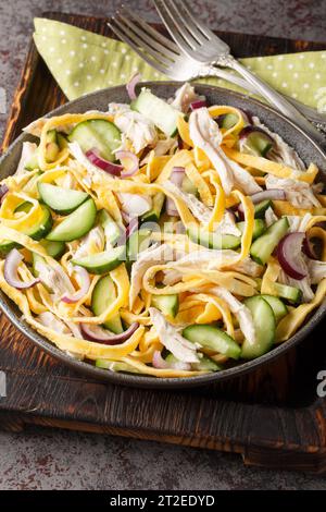 Leckerer Salat aus gekochtem Huhn, Gurke, roten Zwiebeln und gehackten Eierpfannkuchen aus der Nähe auf dem Teller auf dem Tisch. Vertikal Stockfoto