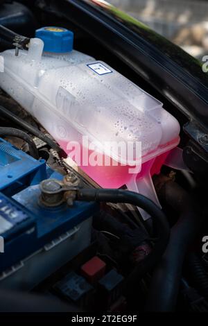 Ausgleichsbehälter oder Ausgleichsbehälter für Kfz-Kühlmittel oder Frostschutzmittel, montiert in einem Motorraum. Nahaufnahme, keine Leute, rosafarbenes G12-Kühlmittel drin. Stockfoto