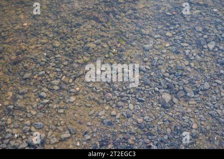 Kieselsteine und kleine Steine unter Wasser auf einem Flussbett. Draufsicht, polarisiertes Licht, keine Personen Stockfoto