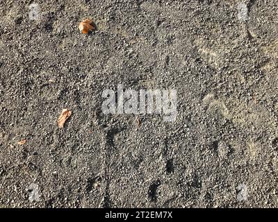 Textur von grauer trockener Erde; Sand mit großen Kieselsteinen. Der Hintergrund. Stockfoto