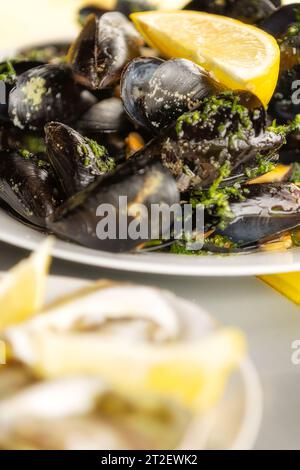 Gedämpfte Muscheln in Weißweinsauce und Austern auf dem Teller Stockfoto