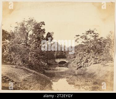 [Botanischer Garten, Kalkutta] Unbekannte 1850er Jahre Stockfoto