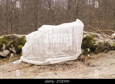 Blumendampf bedeckt, Kälteschutz im Winter Stockfoto
