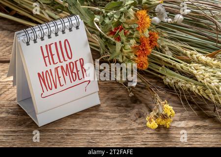 Hallo November Begrüßungsnotiz in einem spiralförmigen Tischkalender mit Blumenstrauß aus trockenen Blumen und Kornstielen, Saison- und Kalenderkonzept Stockfoto