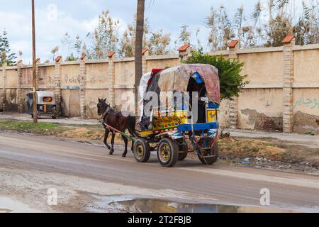 Alexandria, Ägypten - 20. Dezember 2018: Pferdewagen mit Passagieren fährt auf der Straße Alexandrias Stockfoto