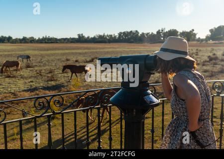 Ein junger Tourist mit Fernglas, der die Pferde beobachtet, die im Donana-Park, Santuario del Rocio, weiden Stockfoto