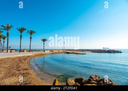 Strand mit Palmen in der Küstenstadt Torrevieja neben der Playa del Cura, Alicante, Valencianische Gemeinschaft. Spanien, Mittelmeer auf dem Stockfoto