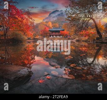 Farbenfroher Herbst mit wunderschönem Ahornblatt am Baekyangsa-Tempel im Naejangsan-Nationalpark, Südkorea. Stockfoto