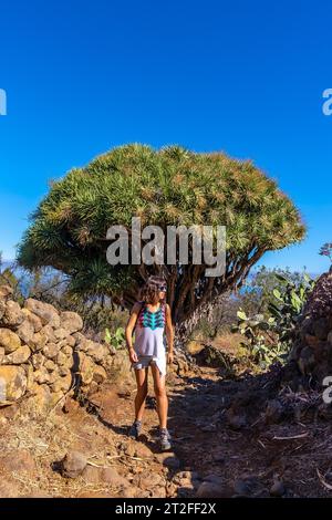 Eine junge Frau in einem riesigen Drachenbaum auf dem Las Tricias Trail. Garafia-Stadt im Norden der Insel La Palma auf den Kanarischen Inseln Stockfoto