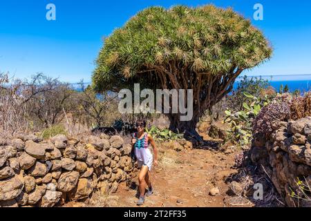 Eine junge Frau in einem riesigen Drachenbaum auf dem Las Tricias Trail. Garafia-Stadt im Norden der Insel La Palma auf den Kanarischen Inseln Stockfoto