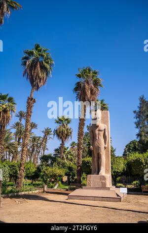 Detail der Skulptur zwischen den Palmen von Pharao Ramses II. In Memphis in Kairo, Ägypten. Alte Stadt, in der der Gott Ptah verehrt wurde Stockfoto