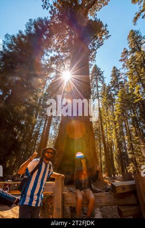 Ein Paar im riesigen General Sherman Tree im Sequoia National Park Stockfoto