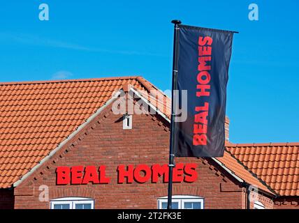 Greenways Development: Neue Häuser werden von Beal in der Rawcliffe Road in Goole, East Yorkshire gebaut Stockfoto