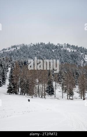Paare, die durch den Schnee schlendern in Devoluy, Hautes-Alpes, Frankreich, vertikale Ansicht Stockfoto