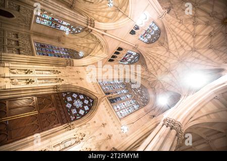 New York, United States Â», 5. Januar 2020: Innensitze in der St. Patricks neogotische Kathedrale im New Yorker Stil Stockfoto