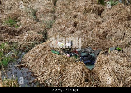 Camp eines Naturfotografen in einem Feuchtgebiet, lebt in der Natur, Naturpark Peenetal Flusslandschaft, Mecklenburg-Vorpommern, Deutschland Stockfoto