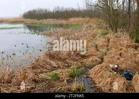 Camp eines Naturfotografen in einem Feuchtgebiet, lebt in der Natur, Naturpark Peenetal Flusslandschaft, Mecklenburg-Vorpommern, Deutschland Stockfoto